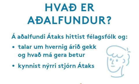 Aðalfundur: Dagskrá og laga-breytinga-tillögur